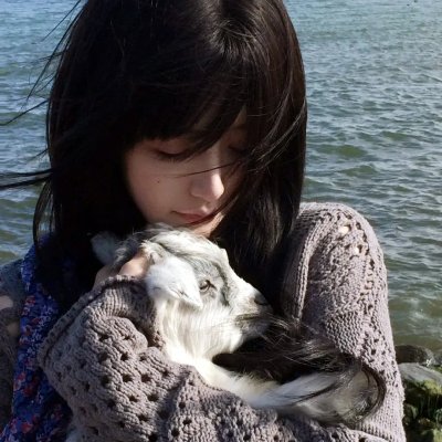 朋友圈 第2季